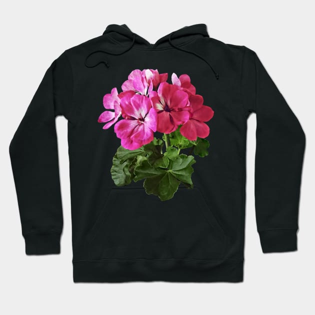 Magenta Geranium Hoodie by SusanSavad